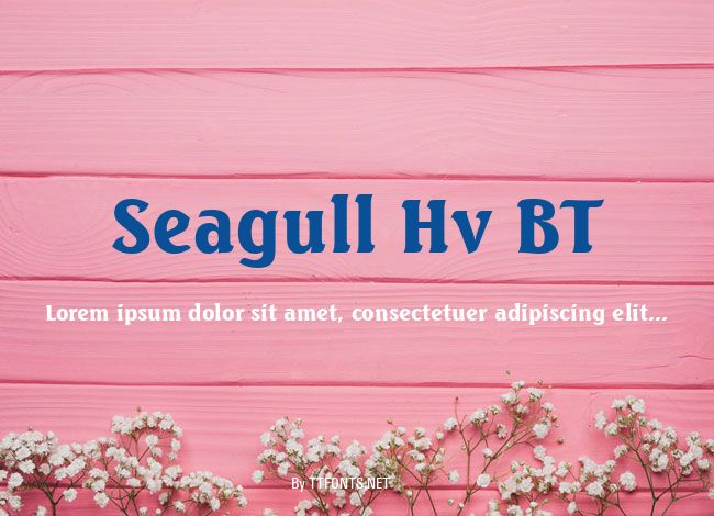 Seagull Hv BT example